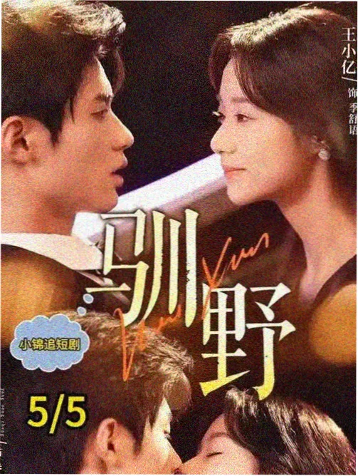 刑侦日记